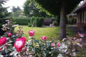 garten Garten